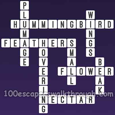 one-clue-crossword-hummingbird-answers