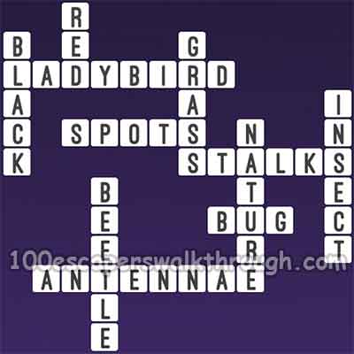 one-clue-crossword-ladybug-answers