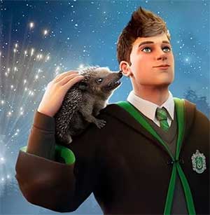 knarls-big-day-harry-potter-hogwarts-mystery