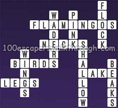 one-clue-crossword-flamingos-answers