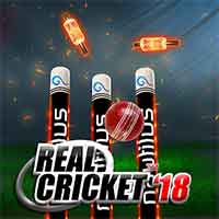 real-cricket-18-gameplay