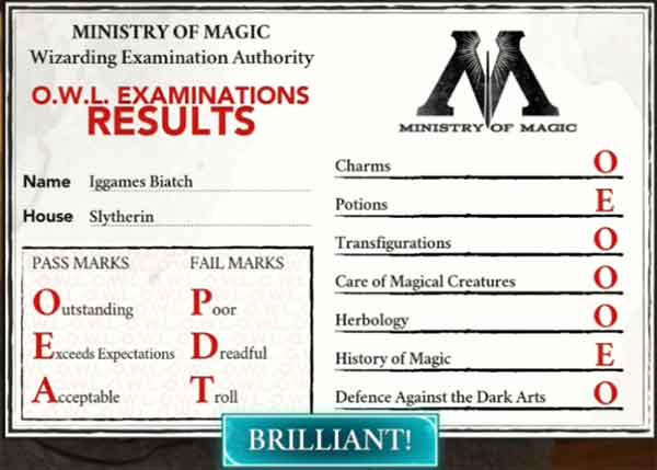 hogwarts-mystery-owl-exam