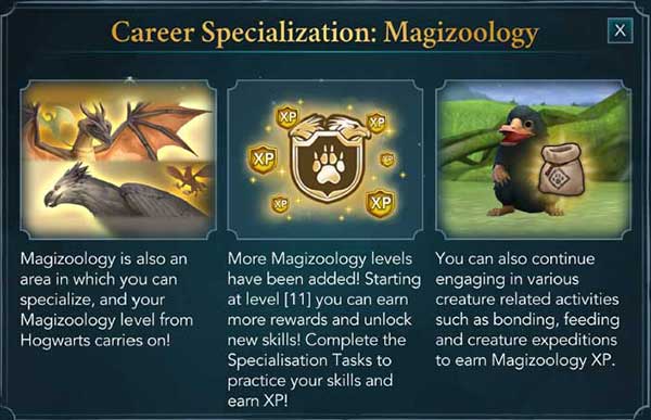 career-specialization-magizoology