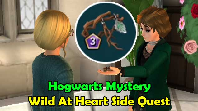 wild-at-heart-side-quest-hogwarts-mystery